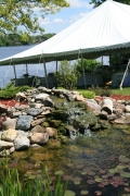 01IMG_0912 