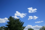 50IMG_0953 